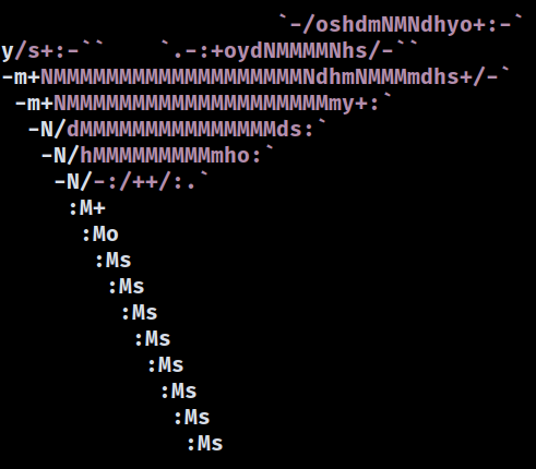 NetBSD ascii logo