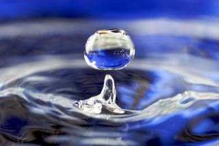 A drop striking a liquid surface under magnification